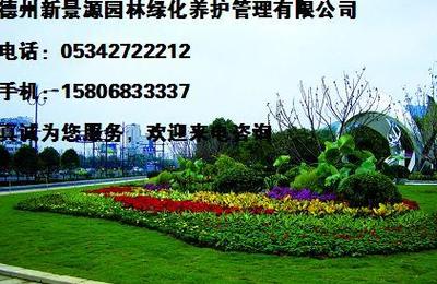 德州新景源園林 綠化養(yǎng)護管理性價比之選