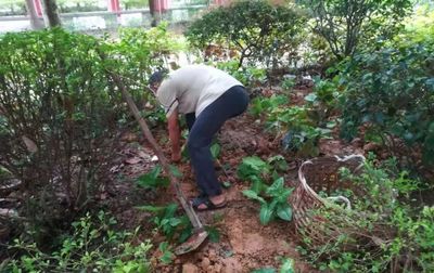 雅樂居物業(yè)綠化管理 用心服務(wù)每一天0901