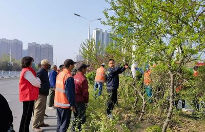 三門峽市綠化工程管理處 開展綠化技能培訓(xùn)，提升養(yǎng)護(hù)管理水平