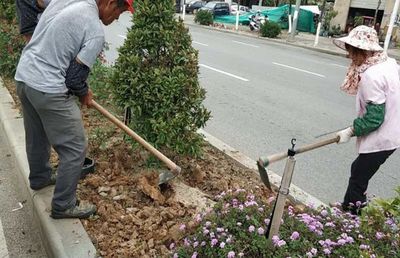 做好綠化補(bǔ)植工作，保障良好通行環(huán)境