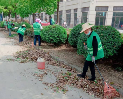 城管局扎實(shí)開(kāi)展春季綠化養(yǎng)護(hù) 全面提升城市綠化管理水平