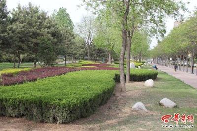 高溫天，銅川多措并舉為園林綠化“降溫護(hù)航”