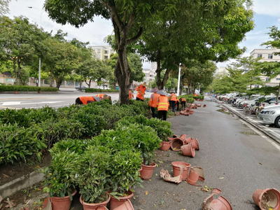 市城管綜合執(zhí)法局多措并舉加強園林綠化管理