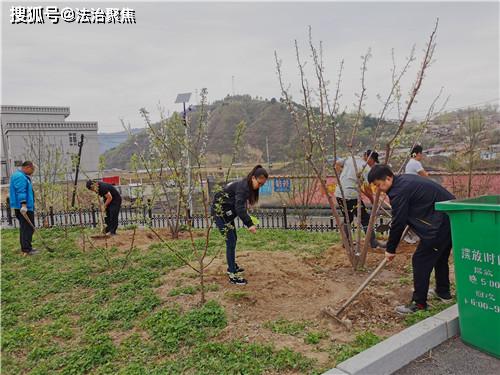 八道溝人民法庭開展庭院綠化活動，助力“加強管理年”落實綠化管理