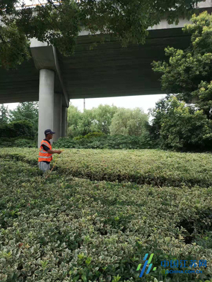 錫山城管局積極做好夏季綠化養(yǎng)護工作，全面提升綠化管理水平