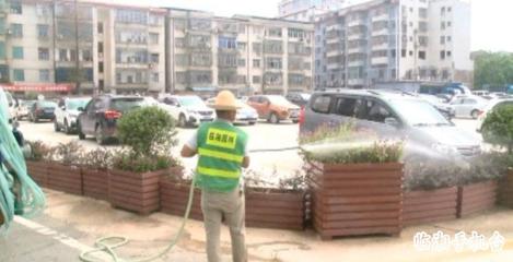 先急后緩、錯時澆灌 市園林綠化管理中心全力抗旱保綠