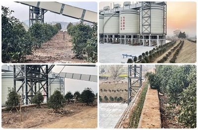 中淮礦業(yè)年產600萬噸砂石骨料生產線綠化管理實踐與成效