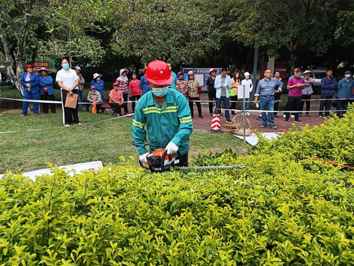 以賽促技強(qiáng)技能，匠心筑綠美貴港——貴港市城市管理監(jiān)督局成功舉辦園林綠化技能競(jìng)賽