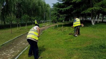 區(qū)住建局加強(qiáng)夏季園林植物養(yǎng)護(hù)管理，提升城市綠化品質(zhì)