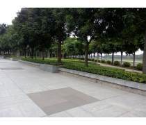 綠化管理產(chǎn)品庫(kù) 提升城市綠化品質(zhì)與效率的智慧工具